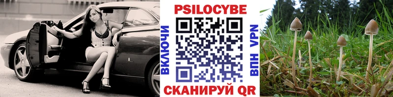 Псилоцибиновые грибы Cubensis  OMG рабочий сайт  Пересвет 